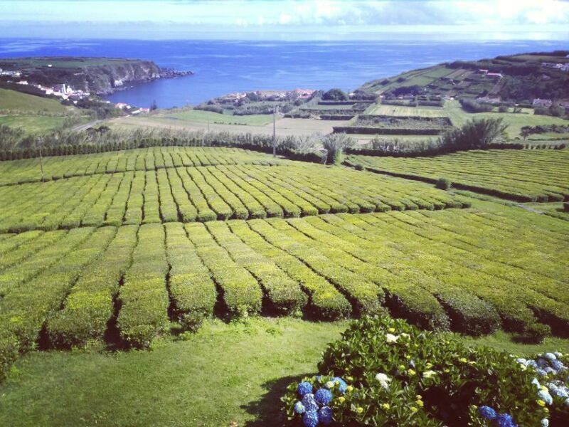 Nordeste Private Tour (2 people) - A detailed look at the Nordeste Private Tour in São Miguel, Azores