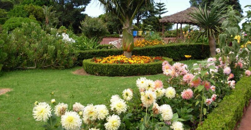 Nordeste Private Tour (2 people) - Who should consider this tour?