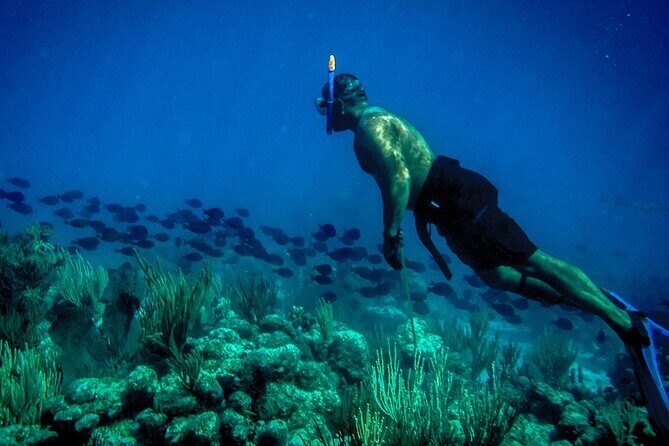 Norman Island - The Caves & The Indians - Sailing & Snorkel Tour - FAQ