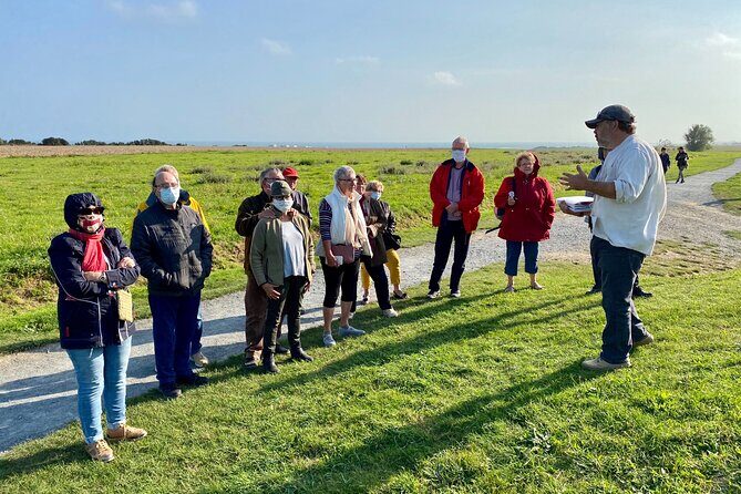 Normandy American D-Day Beaches Full Day Tour from Bayeux - The Logistics: Transport, Timing, and Group Size