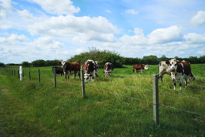 Normandy Battlefields Tour - American Sites (A3) - A Closer Look at the Itinerary