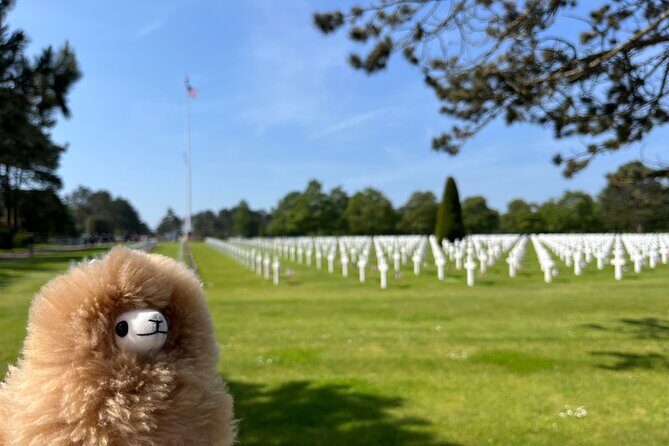 Normandy D-day landing beaches & Caen Memorial Private Tour - The Sum Up