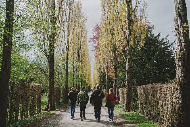 Nørrebro Neighborhood Tour - The Practicalities: What to Expect