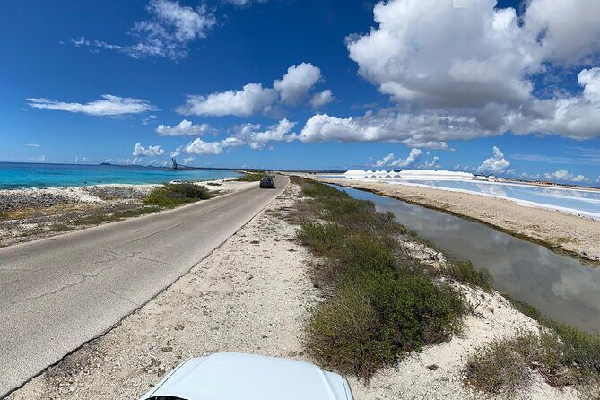 North and South Tour with Elgin a Local Guide - North and South Tour with Elgin, a Local Guide: An Authentic Bonaire Experience