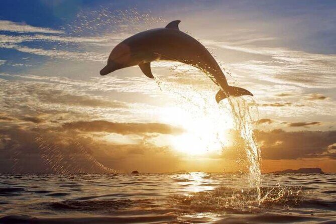 North Bali Sunrise Tour With Dolphins, Instagram Wanagiri & Waterfalls - Wanagiri Hidden Hills: A Feast for the Eyes and Camera