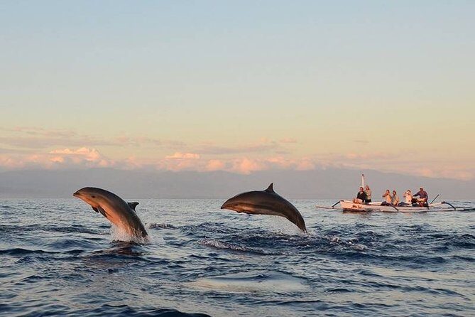 North Bali Sunrise Tour With Dolphins, Instagram Wanagiri & Waterfalls - Who Will Love This Tour?