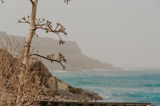 North Central Fuerteventura - Tour with photo shoot - Frequently Asked Questions