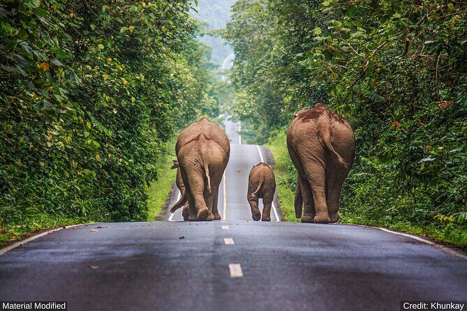 North & Central Thailand: See it ALL in 12 Days, 1st Class Tours - Value for Money: Is It Worth It?