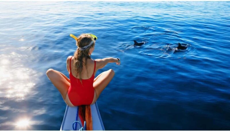 North Coast Dolphins Sunrise Adventure Tour - North Coast Dolphins Sunrise Adventure Tour