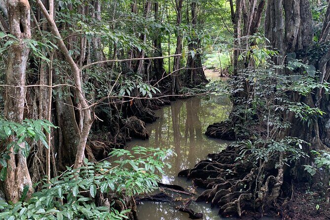 North Coast Dominica Sightseeing Day Tour - FAQ