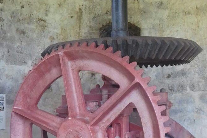 North Coast Tour - An In-Depth Look at the North Coast Tour