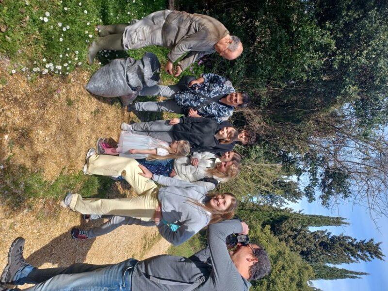 North Corfu Olive Tour with Olive Oil Tasting and Meze - Key Points