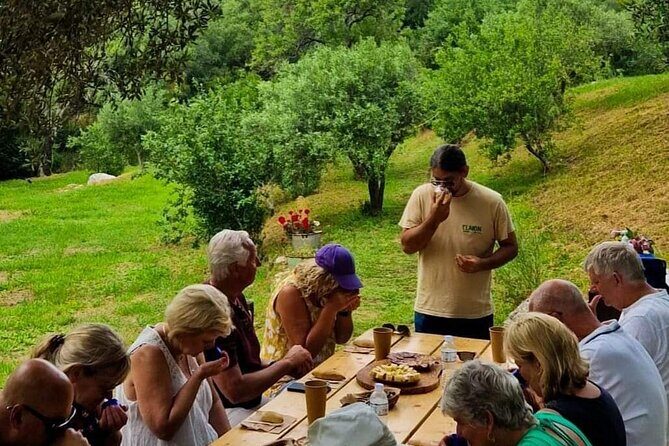 North Corfu Olive Tour With Olive oil Tasting & Meze - Who Should Consider This Tour?