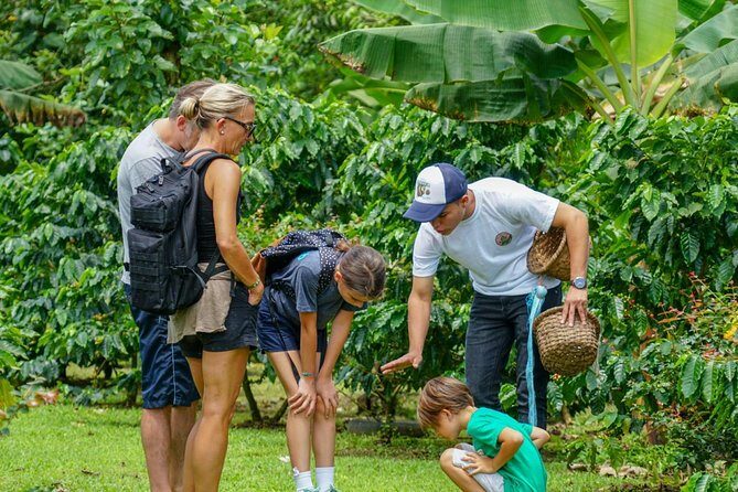 North Fields Cafe: Craft Specialty Coffee and Chocolate Tour - Key Points