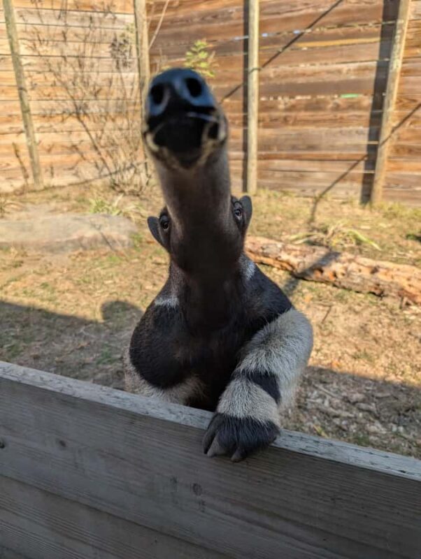 North Florida Wildlife Center General Admission - Summing Up: Who Benefits Most from a Visit?