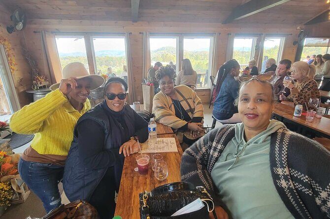 North Georgia Mountains TWO Vineyard Wine Tasting Tour - Who Would Love This Tour?