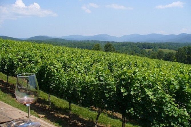 North Georgia Wine Country Tour from Atlanta - A Closer Look at the North Georgia Wine Country Tour