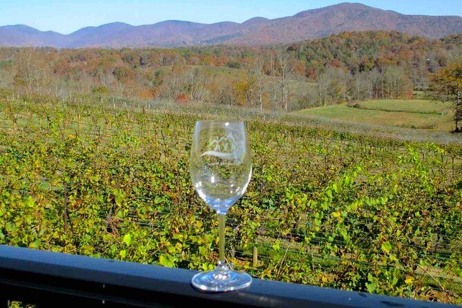 North Georgia Wine Country Tour from Atlanta - Final Thoughts