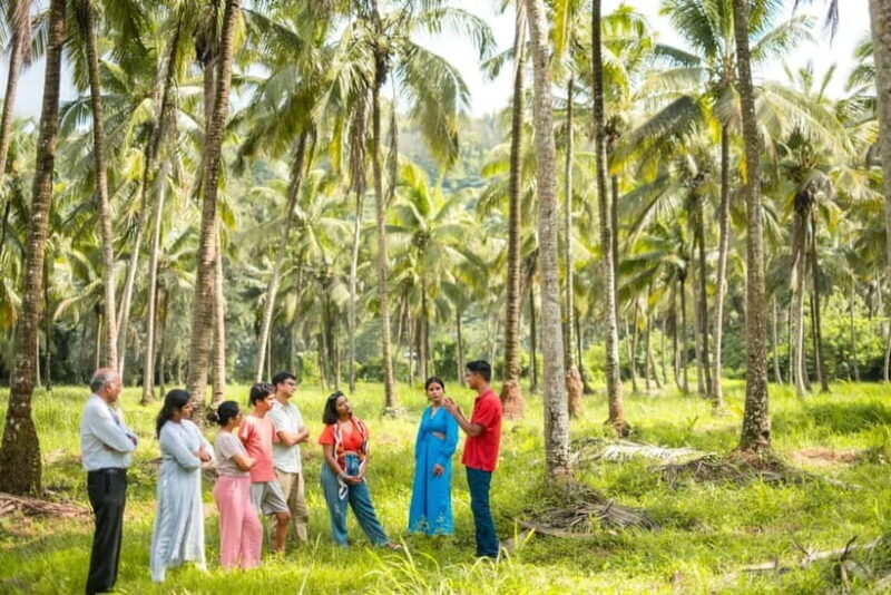North Goa: Mulgao Village and Coconut Farming Experience - Key Points