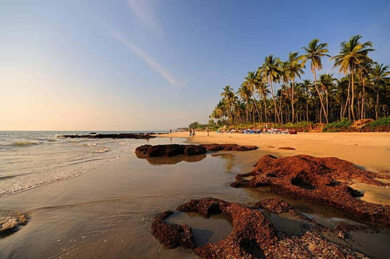 North Goa: Private Day Tour - FAQs