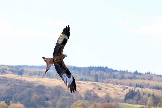 North Highlands from Inverness - An In-Depth Look at the North Highlands Private Tour