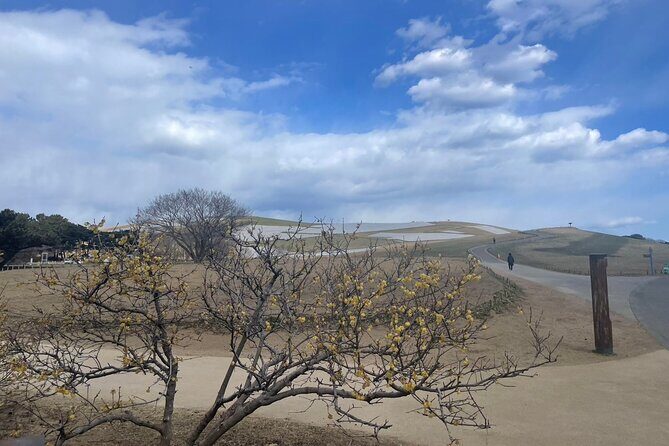 North Ibaraki Tour - FAQs