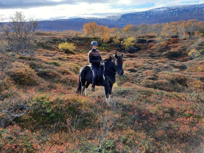 North Iceland: Horseback Riding Tour - FAQ