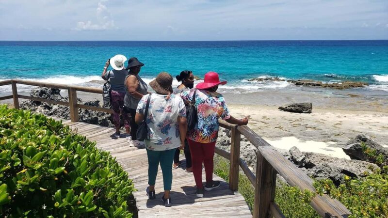 North Long Island 3 Hour Guided Land Tour - Key Points