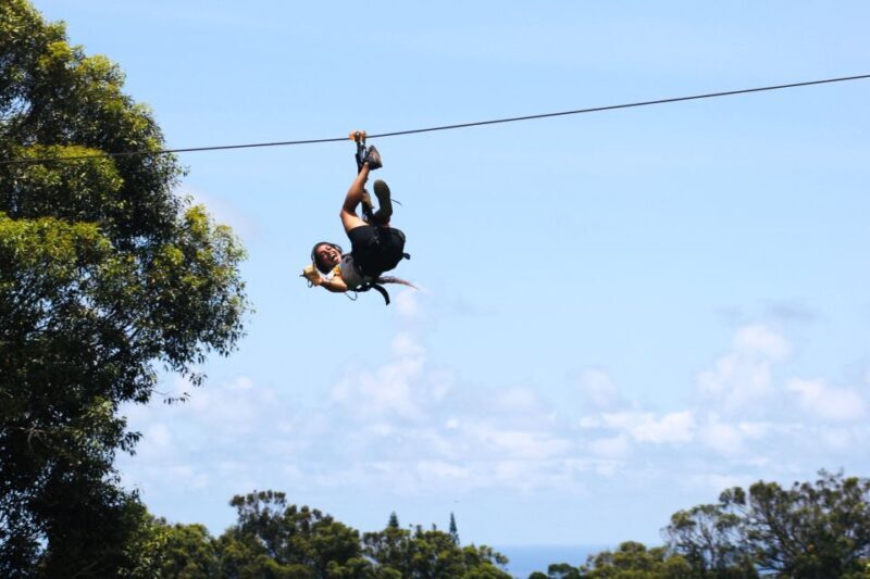 North Maui: 7 Line Zipline Adventure with Ocean Views - North Maui: 7 Line Zipline Adventure with Ocean Views — An In-Depth Review