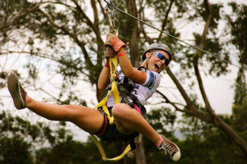 North Maui: 7 Line Zipline Adventure with Ocean Views - Key Points