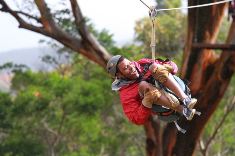 North Maui: 7 Line Zipline Adventure with Ocean Views - Final Words: Who Will Love This Tour?