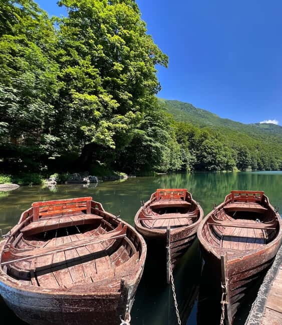 North Montenegro return trip - Biogradska Gora National Park - The Sum Up