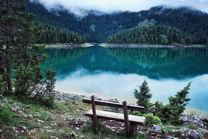 North of Montenegro Private Tour - Tara Canyon & National Parks - Why We Love This Tour
