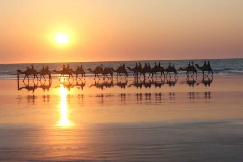 North of Rocks on Cable Beach: 1-Hour Sunset Camel Ride - A Deep Dive into the Sunset Camel Ride Experience