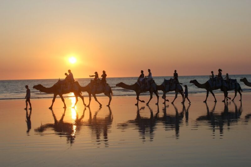 North of Rocks on Cable Beach: 1-Hour Sunset Camel Ride - Final Thoughts