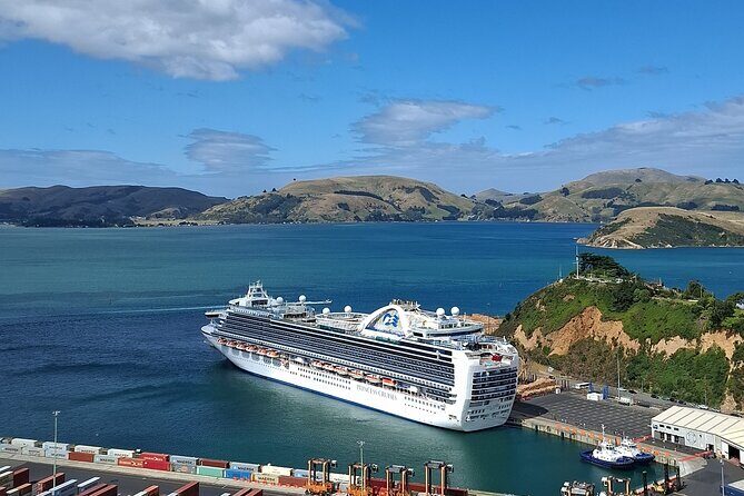 North Otago 7 Hours Scenic & Wildlife Tour - An In-Depth Look at the Otago Peninsula Tour