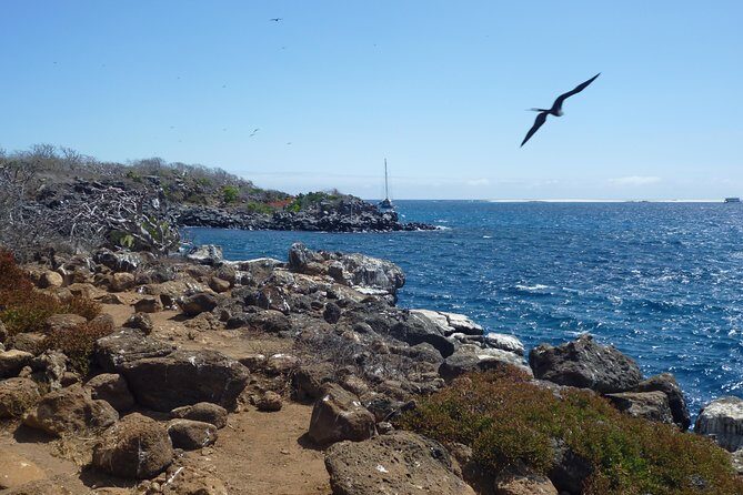 North Seymour Day Trip Galapagos - Key Points