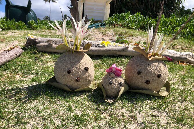 North Shore day,Waterfalls and Turtles Tour - The Sum Up