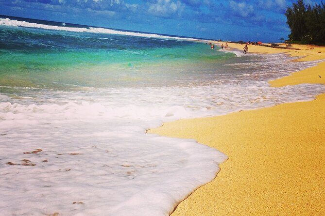 North Shore Excursion Private 7 Hour Tour of Oahu Countryside - An In-Depth Look at the North Shore Excursion Tour