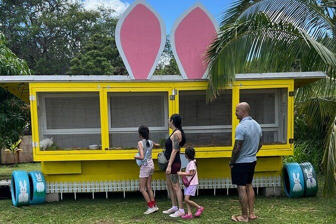 North Shore Farm: Anahulu River, Kayak-Sup, Turtles, Lunch & More - A Comprehensive Look at the North Shore Farm Tour