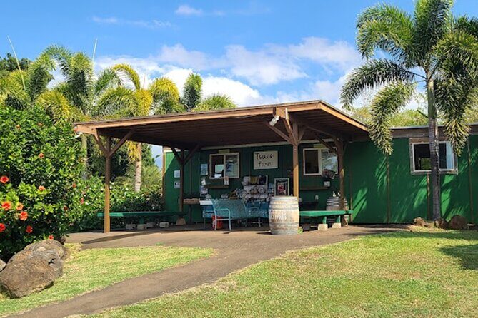 North Shore Farm: Anahulu River, Kayak-Sup, Turtles, Lunch & More - Final Thoughts