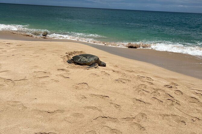 North Shore Highlight Tour - FAQ