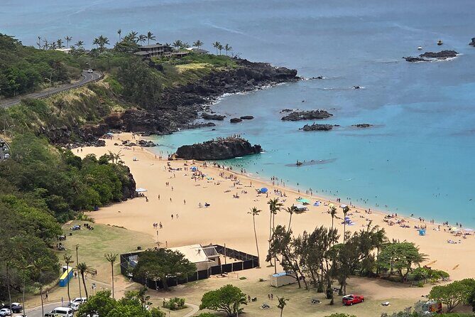 North Shore Turtle Bay Private Airport Transfer Up to 10 Guests - An In-Depth Look at the North Shore Turtle Bay Transfer