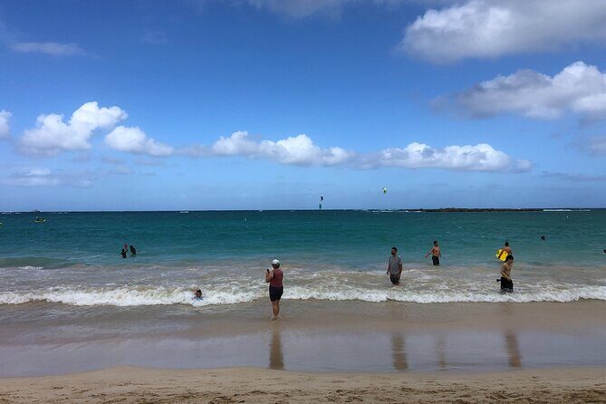 North Shore / Waimea, Falls Day & Swim with Turtles - Who Will Love This Tour?