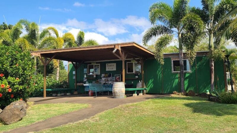 North Shore's best day! River, Turtles, Farm with Lunch - An Honest Look at the Experience