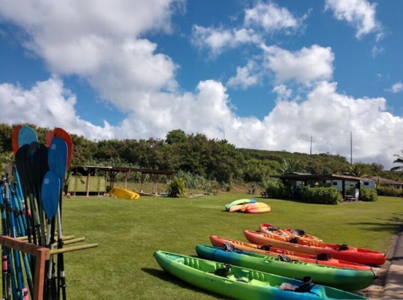 North Shore's best day! River, Turtles, Farm with Lunch - Final Thoughts