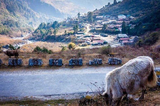 North Sikkim 6 Days Tour - Key Points