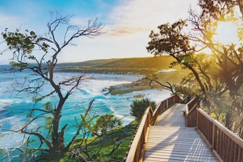 North Stradbroke Island: Whales, Wildlife & Beaches Day Trip - Why This Tour Works