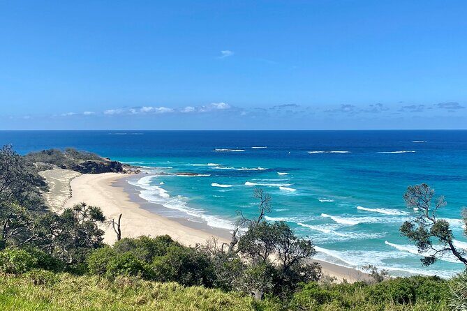 North Stradbroke Island WILDLIFE Adventure Tour from Brisbane - The Journey Begins: A Practical Overview