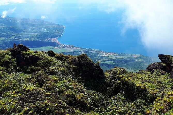 North Tour: rainforest, rum distillery, black sand beach etc - Who Would Love This Tour?